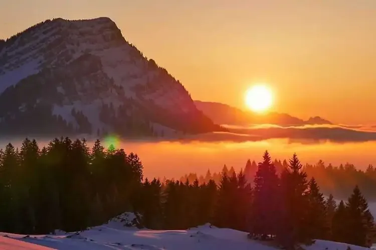 Hobbynutten Appenzell-Ausserrhoden