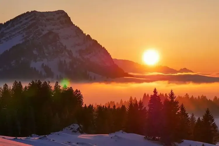Hobbynutten Appenzell