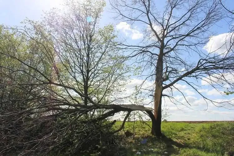 Hobbynutten Filderstadt