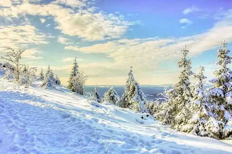 Hobbynutten Harz
