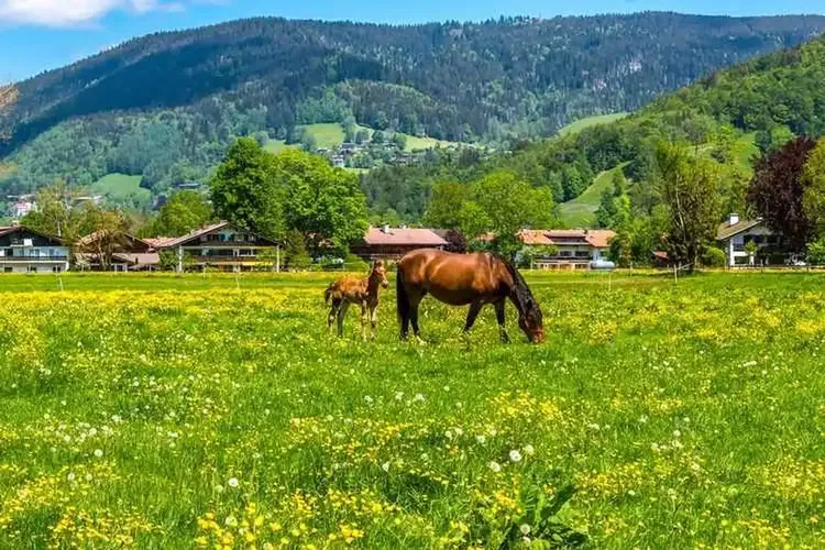 Hobbynutten Ottobrunn