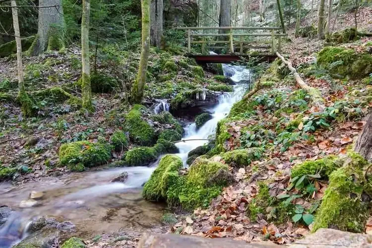 Hobbynutten Schramberg