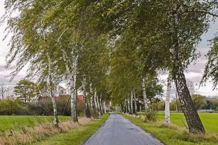 Hobbynutten Senden Westfalen